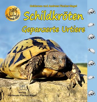 Schildkröten