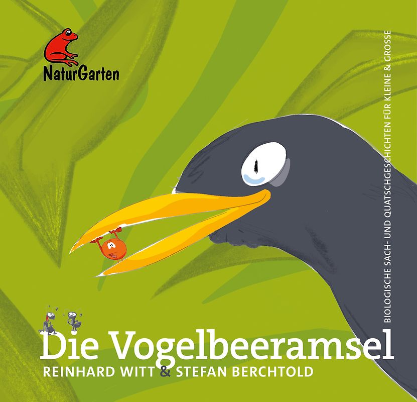 Die Vogelbeeramsel