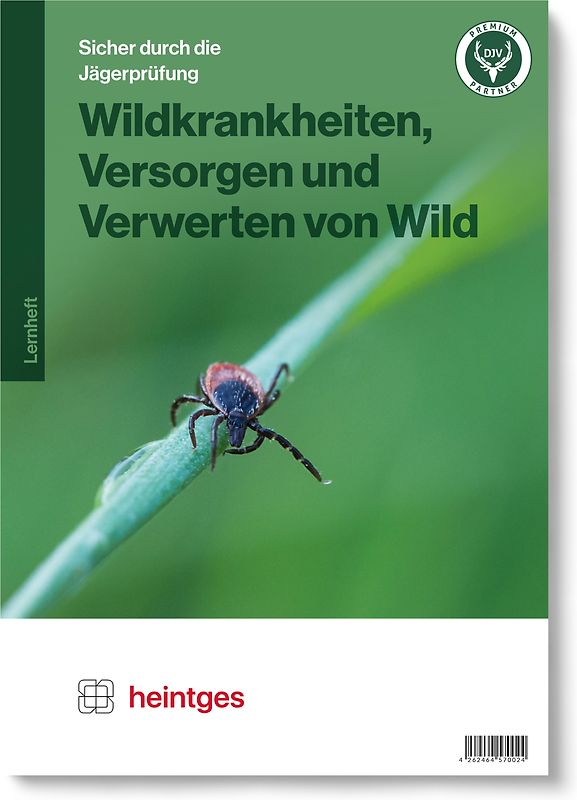 Wildkrankheiten, Versorgen und Verwerten von Wild
