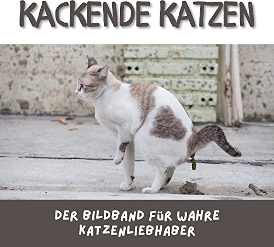 Kackende Katzen