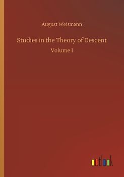 Studies in the Theory of Descent