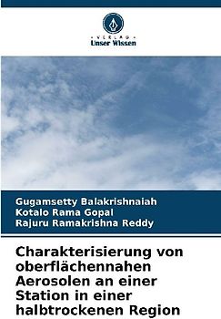 Charakterisierung von oberflächennahen Aerosolen an einer Station in einer halbtrockenen Region
