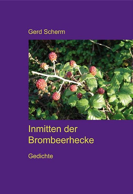 Inmitten der Brombeerhecke