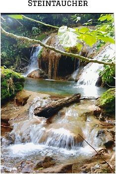 "STEINTAUCHER " Liebesdurstige Beobachtungen eines in die Jahre gekommenen Mannes. Gerade so,als hätte da jemand noch einmal seine Träume an das Firmament gehangen.