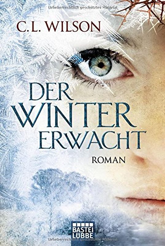 Der Winter erwacht