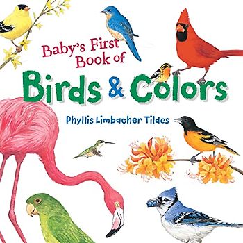Baby's First Book of Birds & Colors
