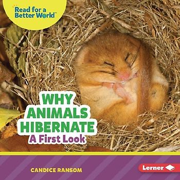 Why Animals Hibernate