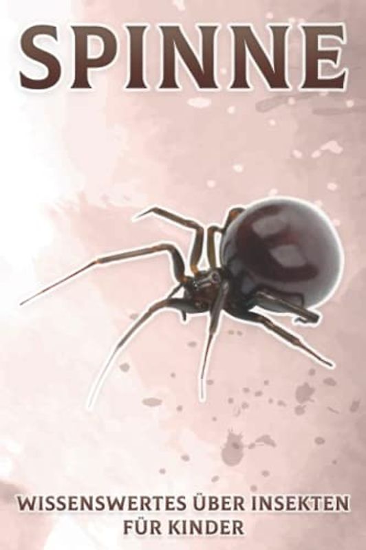 Spinne: Wissenswertes über Insekten für Kinder #9