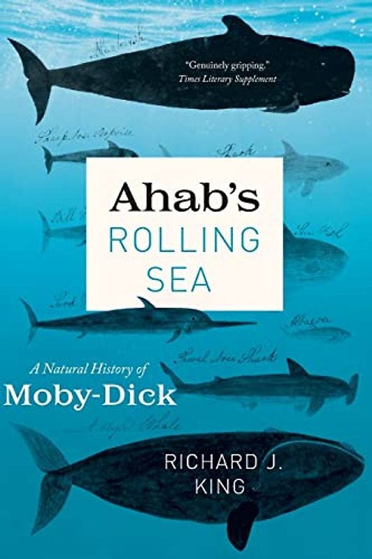Ahab's Rolling Sea