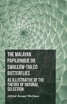 The Malayan Papilionidæ or Swallow-tailed Butterflies, as Illustrative of the Theory of Natural Selection
