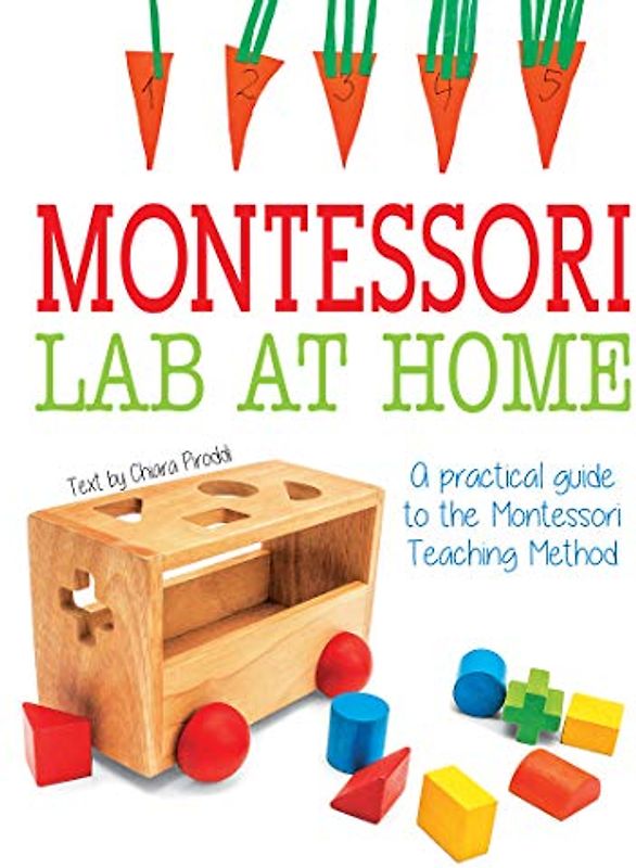 Montessori Lab at Home: A Practical Guide about Montessori Teaching Method: A Practical Guide to the Montessori Teaching Method