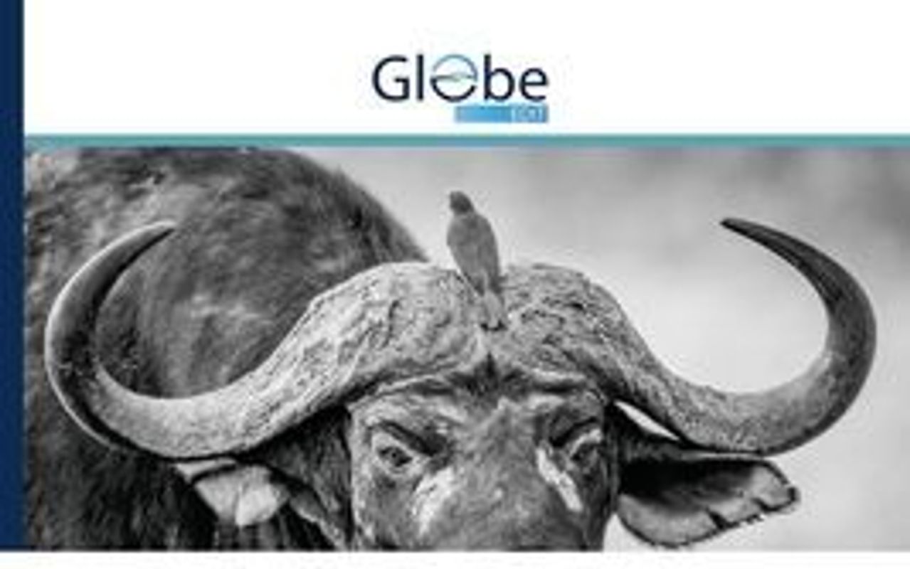 De Ariërs, het nazisme en de blanke suprematie