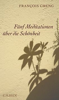 Fünf Meditationen über die Schönheit