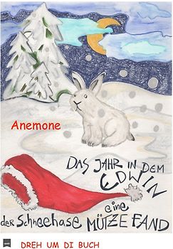 Dreh um di Buch / Dreh um di Buch, das Jahr in dem Edwin der Schneehase eine Mütze fand/Tom der Weihnachtsmann seine Zipfelmütze verlor