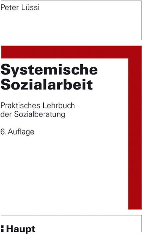 Systemische Sozialarbeit