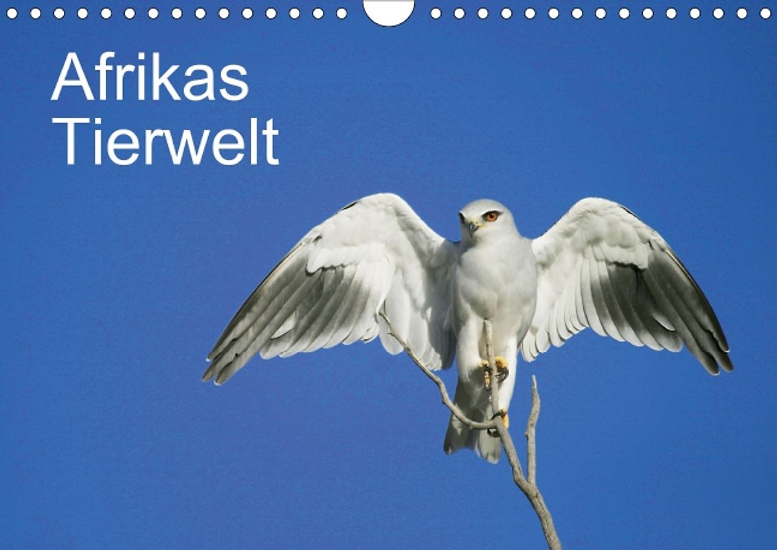 Afrikas Tierwelt (Posterbuch DIN A4 quer)