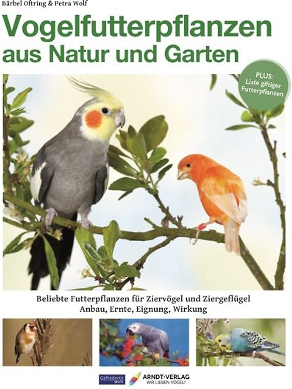 Vogelfutterpflanzen aus Natur und Garten