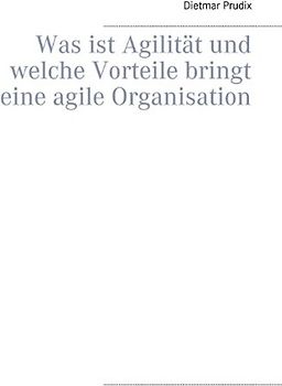 Was ist Agilität und welche Vorteile bringt eine agile Organisation