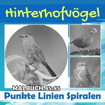 Hinterhofvögel Punkte Linien Spiralen Malbuch: Gewöhnliches Vogel-Spiralbuch zum Zeichnen von Linienkunst | Buch für Jugendliche, Erwachsene oder ... | Urlaub | Jeder Anlass | Zum Stressabbau