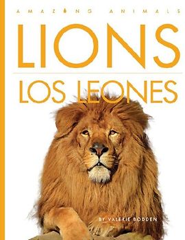 Lions / Los Leones