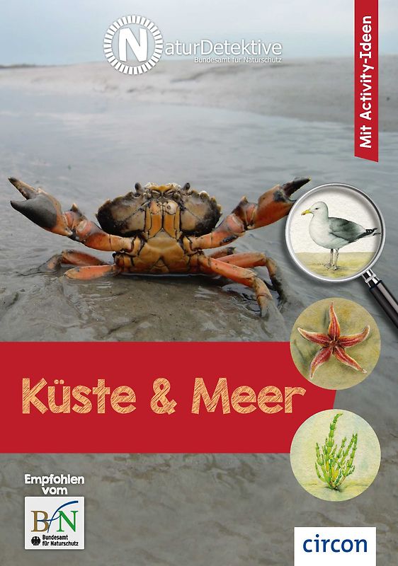 Küste und Meer