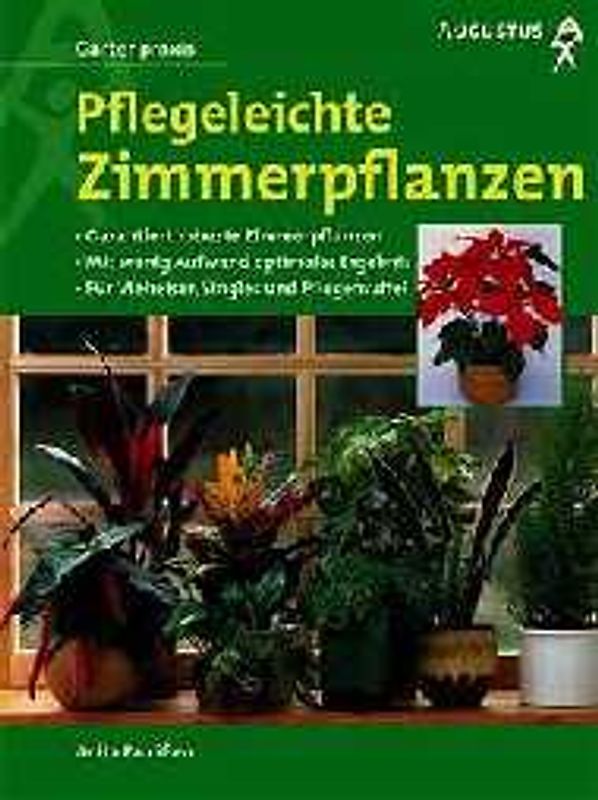 Zimmerpflanzen