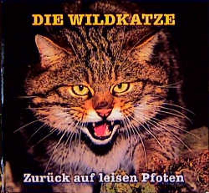 Die Wildkatze