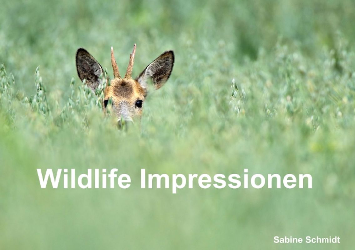 Wildlife Impressionen (Tischaufsteller DIN A5 quer)