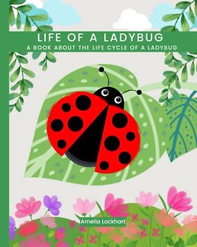 Life of a Ladybug: A book about the life cycle of a ladybug.