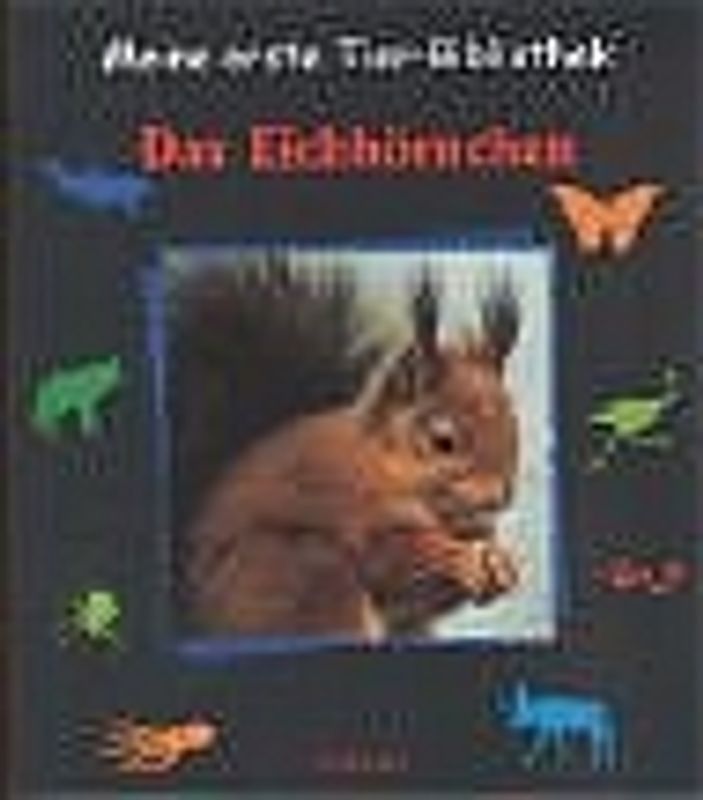 Das Eichhörnchen