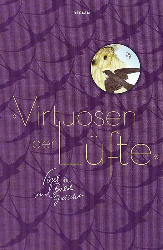 »Virtuosen der Lüfte«