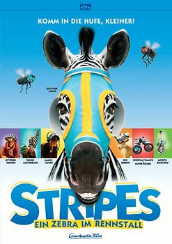 Stripes - Ein Zebra im Rennstall DVD
