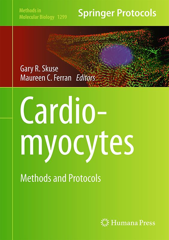 Cardiomyocytes