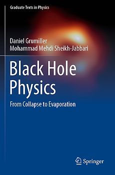 Black Hole Physics