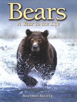 Bears: A Year in the Life - Breiter, Matthias