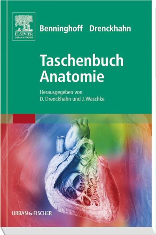 Benninghoff Taschenbuch Anatomie