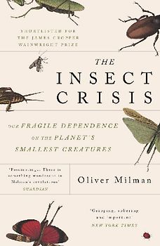 The Insect Crisis