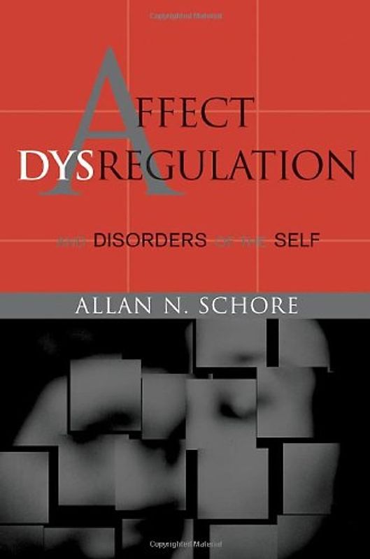 Affect Dysregulation and Disorders of the Self (Norton Series on Interpersonal Neurobiology) - Allan N. Schore
